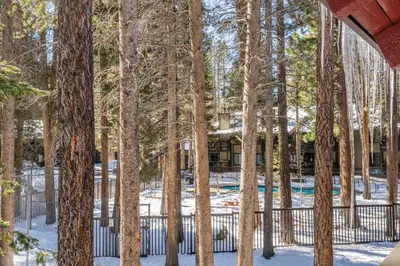 a forest of trees with snow on the ground at Sunshine Village #108- 1 +Loft , Sleeps 6. Steps from Free Town Shuttle ,Dog Friendly in Mammoth Lakes