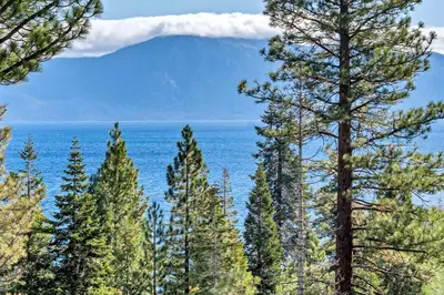 a group of trees with the ocean in the background at Cozy Carnelian Bay Vacation Rental with Lake Views in Carnelian Bay
