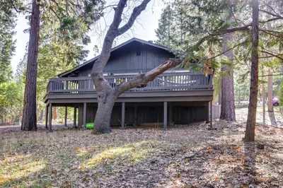 a house in the woods with a tree at Access to Pine Mountain Lake Family Cabin with Deck in Groveland