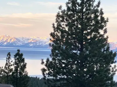 a large pine tree with mountains in the background at Lake Tahoe Vacation Rental Fireplace and Balcony in Incline Village
