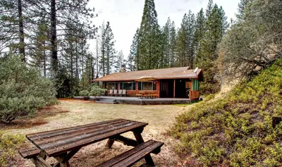 a log cabin with a picnic bench in front of it at Longview at The Redwoods in Wawona