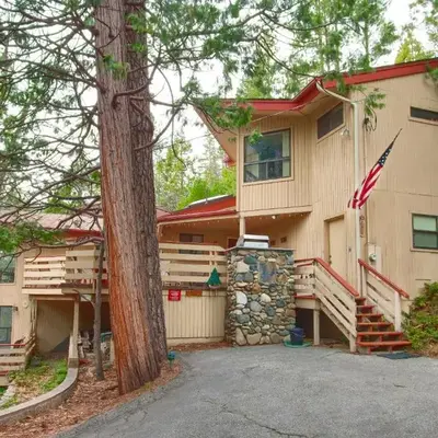 Pohono Pines