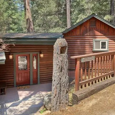 The Tree House