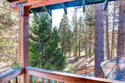 a view from the porch of a cabin with trees at River Refuge in Wawona