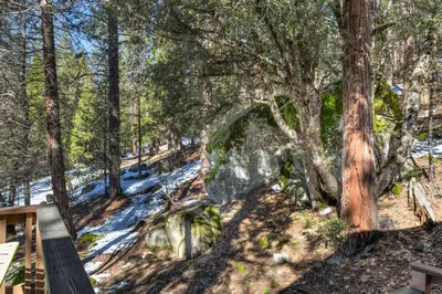 a snowy trail in a forest with trees at Bird's Eye View in Yosemite West
