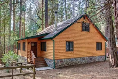 a cabin in the middle of the woods at Big Pine Lodge in Wawona