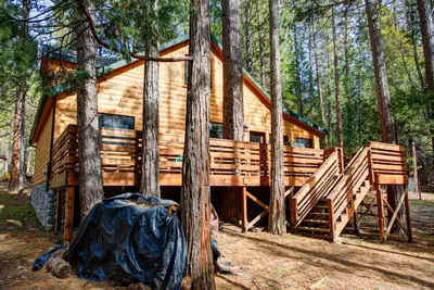 a log cabin in the woods with trees at Big Pine Lodge in Wawona