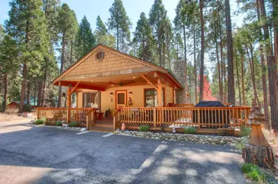 a small cabin in the middle of a forest at Larkspur Lair in Wawona
