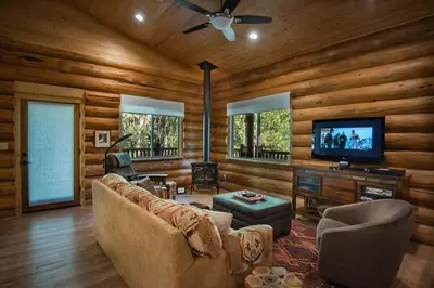 a living room with a couch and a television at The Mini Cabin in Wawona