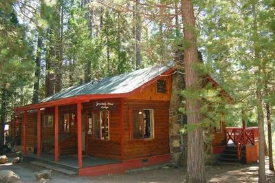 a wooden cabin in the middle of a forest at Lockwood Lodge in Wawona