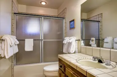 a bathroom with a shower and a toilet and a sink at Coyle's Cabin in Wawona