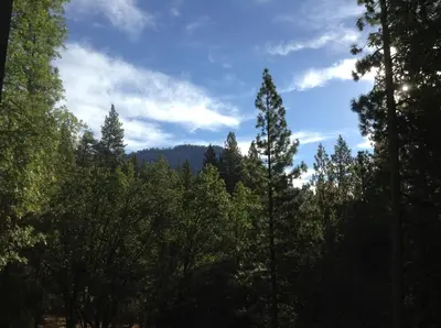 a group of trees with a mountain in the background at Grant's Camp in Wawona