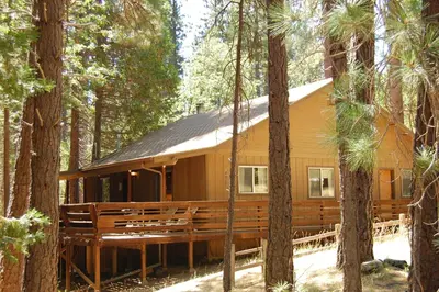 a cabin in the middle of the forest at Altitude Adjustment in Wawona