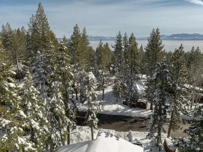 an aerial view of a forest with snow covered trees at Handcrafted Tahoe Retreat Walk to Beach & Ski in Tahoe City