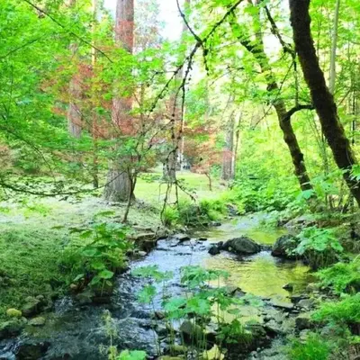 Charming property with 2 cabins and private creek all to yourself
