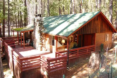 a cabin in the woods with a green roof at Cozy 2Br Retreat with Scenic Deck & Outdoor Dining in Wawona