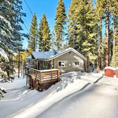 Bear Haus - Sledding At Cabin - Forest Views - Foosball
