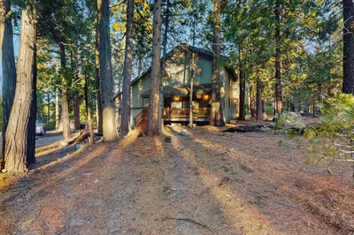 a house in the middle of a forest at Bearfoot Getaway in Shaver Lake