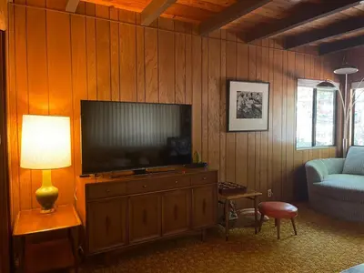 a living room with a television on a wooden wall at Groovy Cabin in the Woods in Pollock Pines