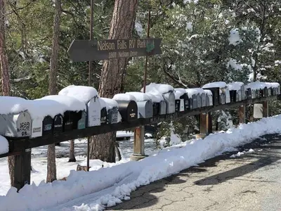 a row of wine bottles on a wooden fence in the snow at BunkHouse 1960's Camp Vibe with Timeless Wet Bar in Springville