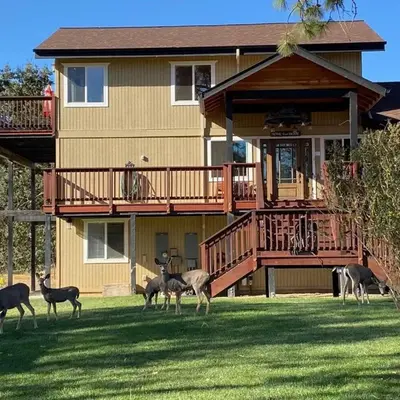 Luxurious Yosemite Pines Lodge