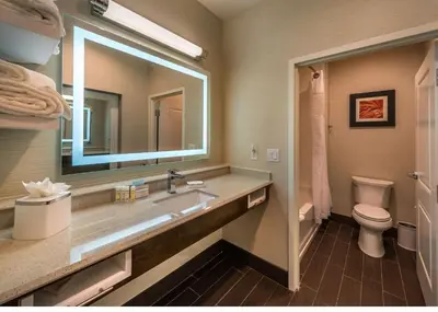 a bathroom with a sink and a toilet and a mirror at Hampton Inn & Suites - Reno West, NV in Reno
