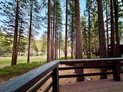 a wooden bench in the middle of a forest at One The First Fairway - Walk to the Lake in Incline Village