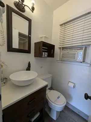 a bathroom with a sink and a toilet and a mirror at Squaw Valley Motel Room 4 in Squaw Valley