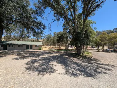 a tree in the middle of a dirt road at Squaw Valley Motel Room 3 in Squaw Valley
