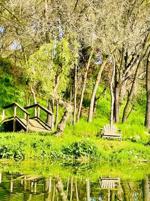 a couple of benches sitting next to a body of water at The Grand Waterside Estate Easy drive to Yosemite in Modesto