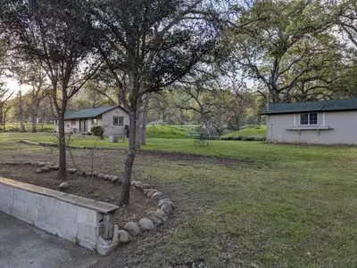 a tree in a yard next to a house at Squaw Valley Motel Room 2 in Squaw Valley