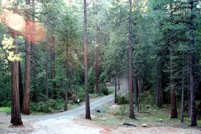 a dirt road in the middle of a forest at Family-Friendly Log Cabin Rental in California's Gold Country near Sacramento in Volcano