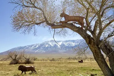 a statue of a cat sitting on top of a tree at Luxury Design Rental with Breathtaking Mountain Views in Lone Pine, California in Lone Pine