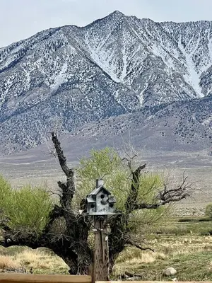 a bird house sitting on top of a wooden post at Luxury Design Rental with Breathtaking Mountain Views in Lone Pine, California in Lone Pine