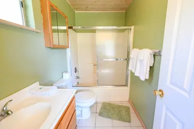a bathroom with a shower and a toilet and a sink at Near Yosemite Bass Lake Cabin with Hot Tub, Lake View, Pet Friendly in Bass Lake