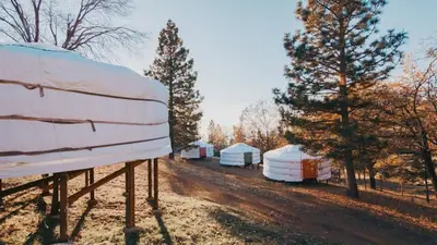 a group of tents on a dirt road next to trees at Mongolian yurt at a nature retreat in Miramonte