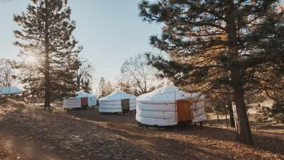 a group of domes parked in a field next to trees at Cosy yurt at a nature retreat in Sequoia N Forest in Miramonte