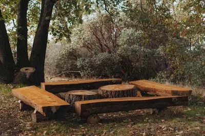 a group of wooden benches sitting next to a tree at Glamping yurt at nature retreat in Sequoia NForest in Miramonte