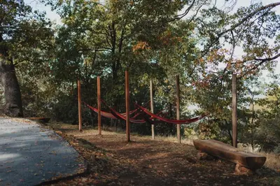 a hammock in a park next to a road at Cosy yurt at a nature retreat in Dunlap CA in Miramonte