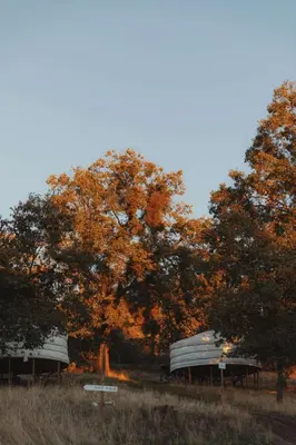 a couple of boats parked next to some trees at Cosy yurt at a nature retreat in Dunlap CA in Miramonte