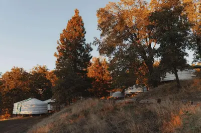 a group of trees and a barn on a hill at Cosy yurt at a nature retreat in Sequoia Forest in Miramonte