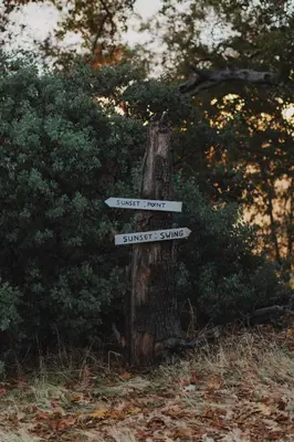 a sign with three signs on a tree stump at Glamping yurt at a nature retreat Sequoia Highland in Miramonte