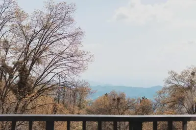 a view of trees from a balcony with a fence at Secluded rustic 2-bedroom cabin on nature retreat in Miramonte