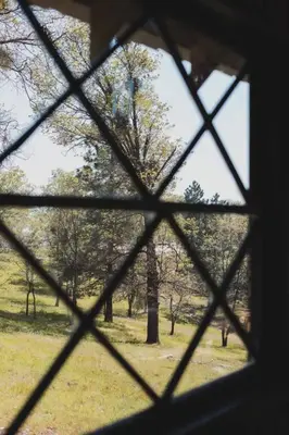 a view from a window of a field with trees at Secluded rustic 3-bedroom cabin on private land in Miramonte