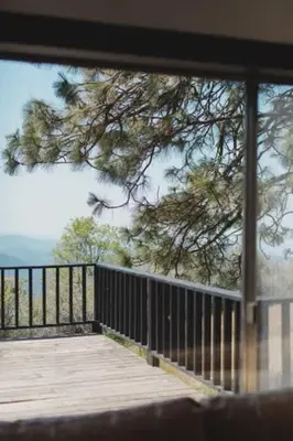 a view of a wooden deck with a tree at Secluded rustic 2-bedroom cabin at nature retreat in Miramonte