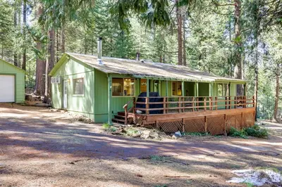 a green house in the middle of a forest at Stay Near Big Trees, Bring Your Pets Arnold Cabin in Arnold