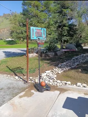 a basketball hoop with a basket in a yard at Sequoia Eagle Nest in Three Rivers