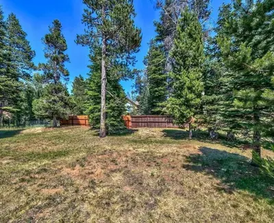 an open yard with trees and a fence at COH1261 - Nature's Gem home in South Lake Tahoe