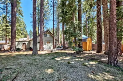a house in the middle of a forest with trees at CYH0876 - Island Cabin cabin in South Lake Tahoe
