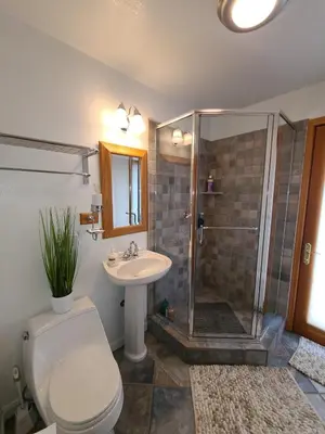 a bathroom with a shower and a toilet and a sink at IVH0869 - Cinnabar Creek home in Incline Village